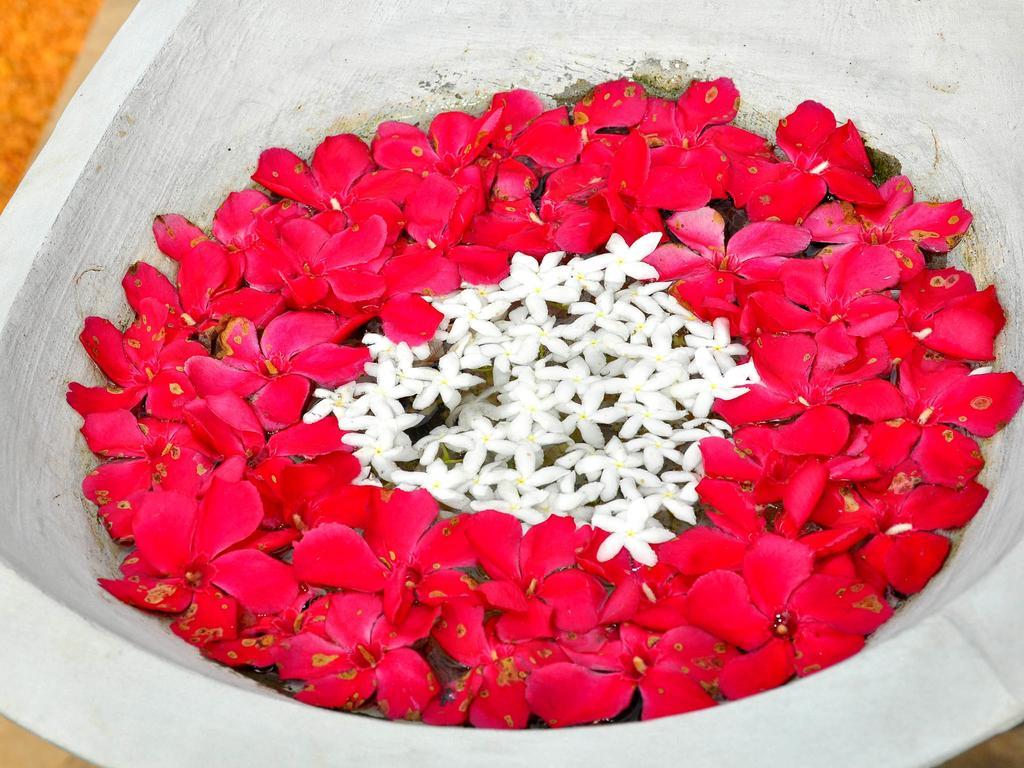 בנטוטה Rockery Villa Ayurveda מראה חיצוני תמונה