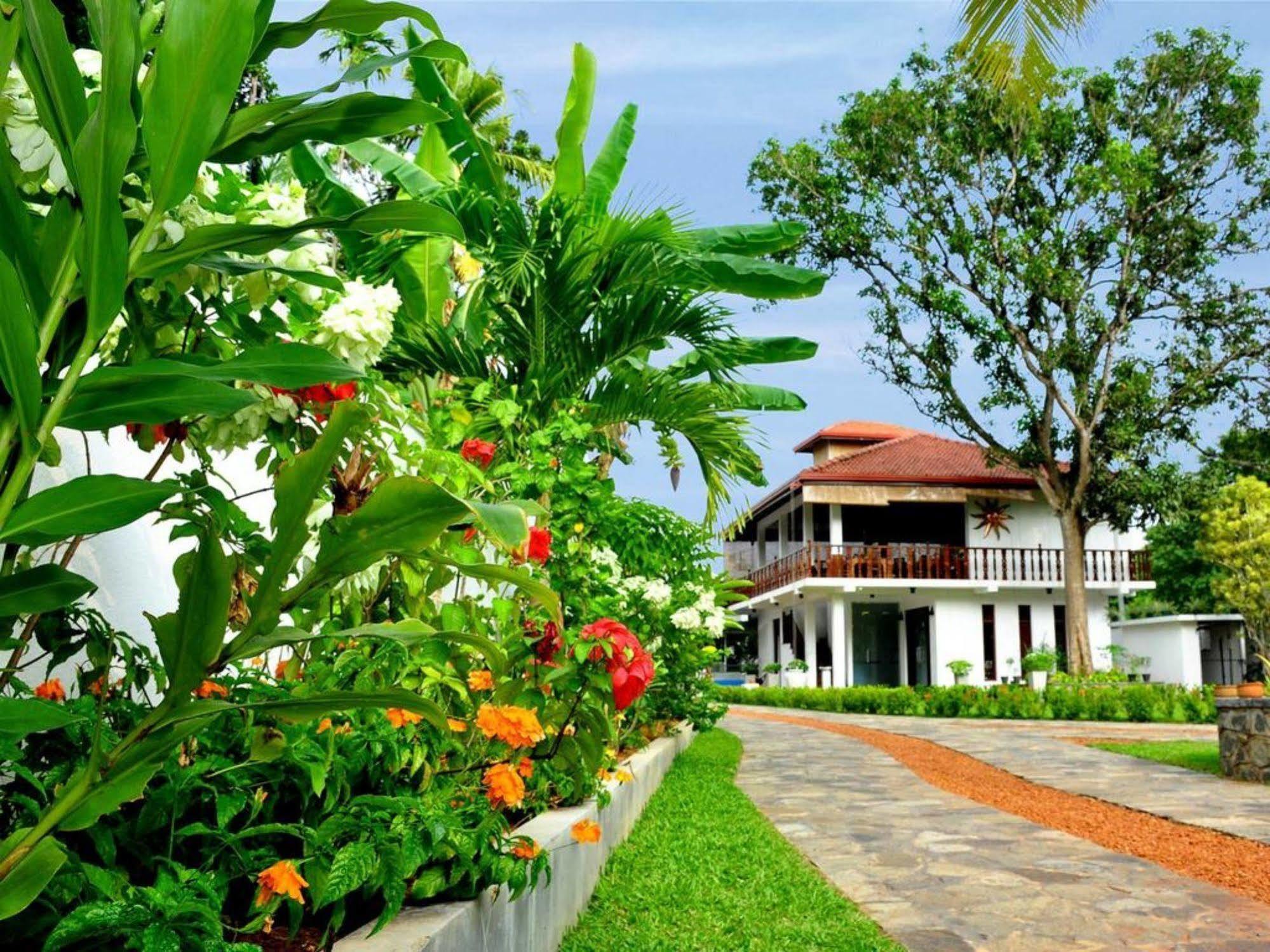 בנטוטה Rockery Villa Ayurveda מראה חיצוני תמונה